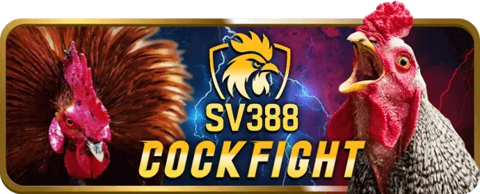 Tư vấn trực tuyến FV99